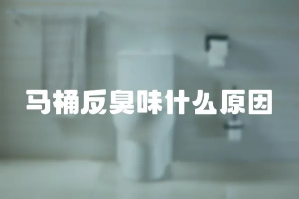 馬桶反臭味什么原因