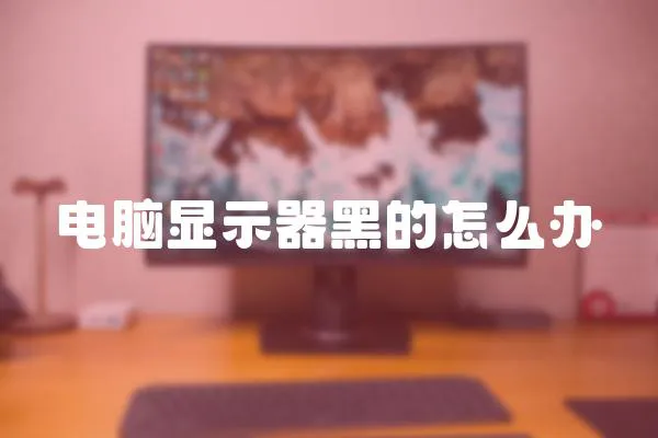 電腦顯示器黑的怎么辦