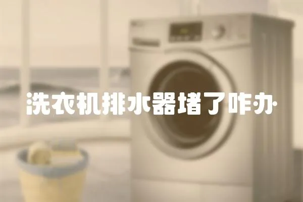 洗衣機(jī)排水器堵了咋辦