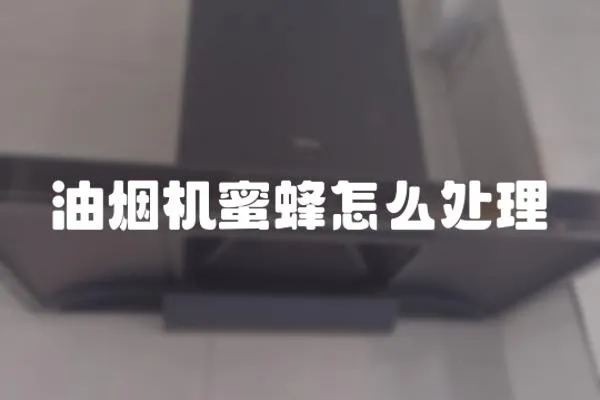 油煙機蜜蜂怎么處理