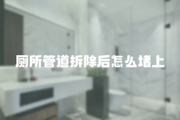 廁所管道拆除后怎么堵上