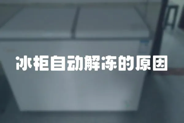 冰柜自動解凍的原因