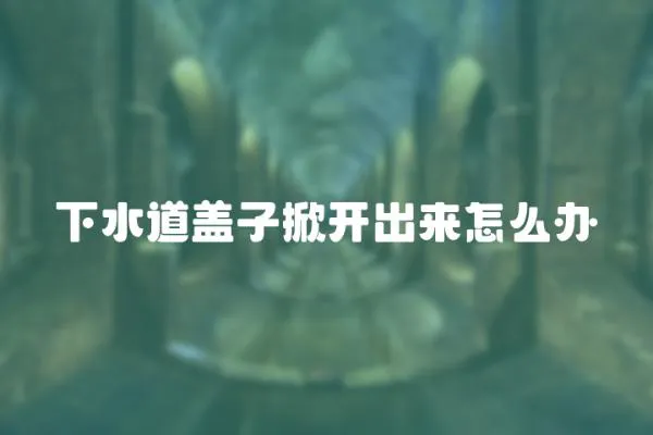 下水道蓋子掀開出來怎么辦