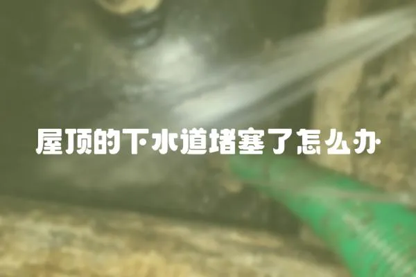 屋頂的下水道堵塞了怎么辦