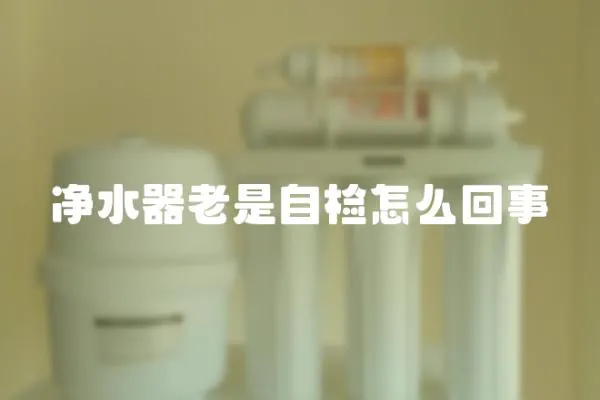 凈水器老是自檢怎么回事