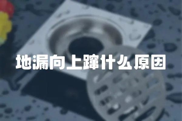 地漏向上躥什么原因