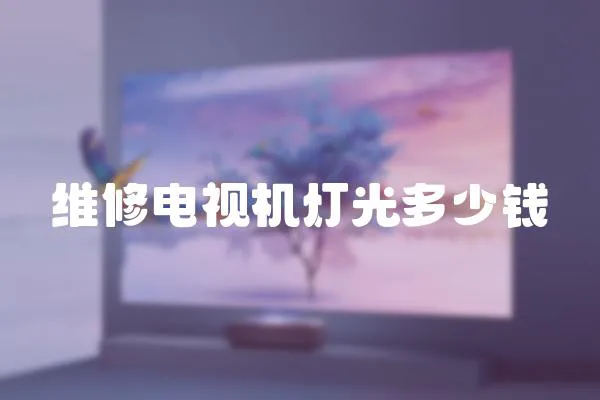 維修電視機(jī)燈光多少錢