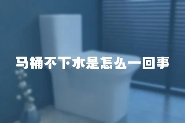 馬桶不下水是怎么一回事