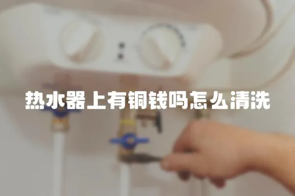 熱水器上有銅錢嗎怎么清洗