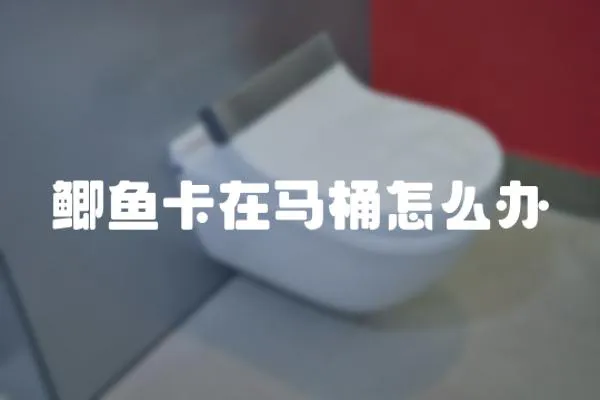 鯽魚卡在馬桶怎么辦