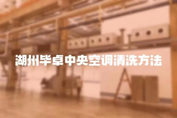 湖州畢卓中央空調清洗方法