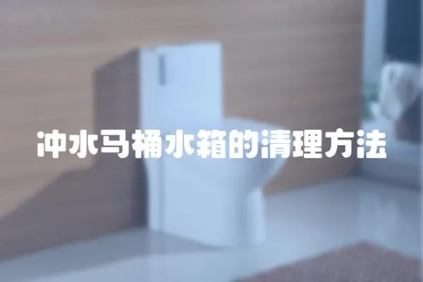沖水馬桶水箱的清理方法
