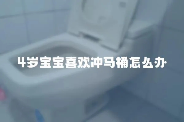 4歲寶寶喜歡沖馬桶怎么辦