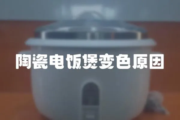 陶瓷電飯煲變色原因