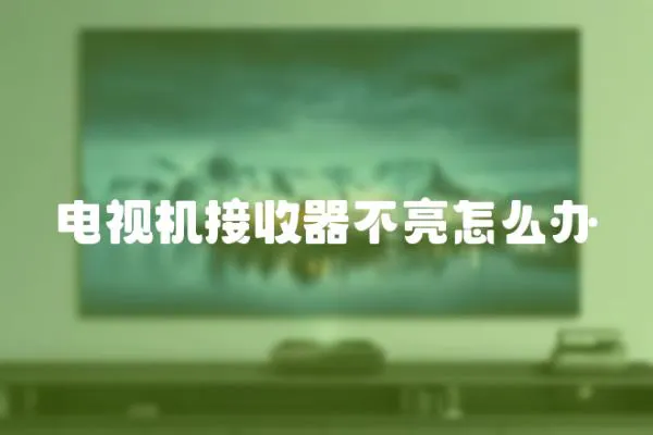 電視機接收器不亮怎么辦