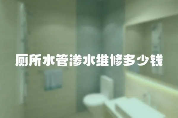 廁所水管滲水維修多少錢