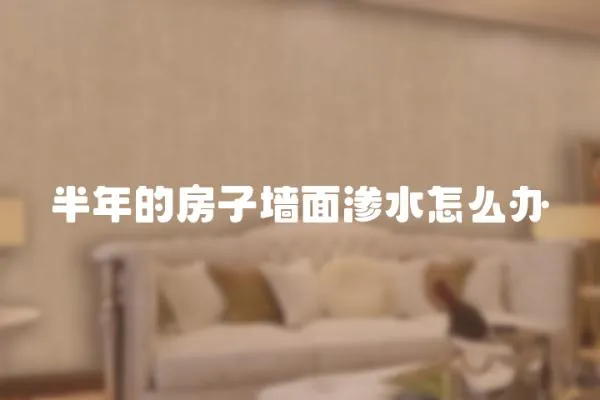 半年的房子墻面滲水怎么辦