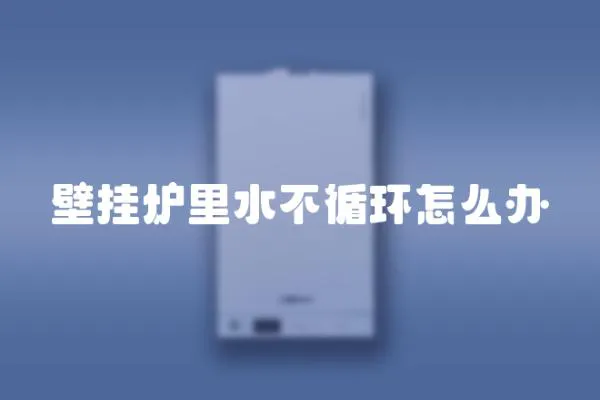 壁掛爐里水不循環(huán)怎么辦