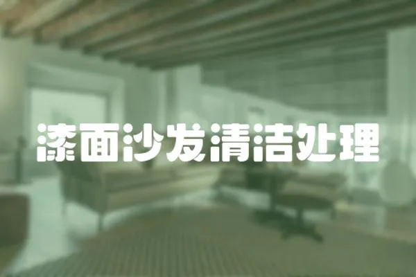 漆面沙發清潔處理