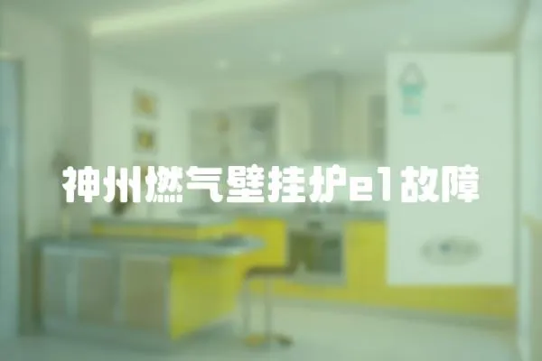 神州燃氣壁掛爐e1故障