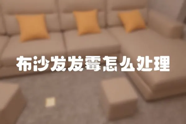 布沙發發霉怎么處理