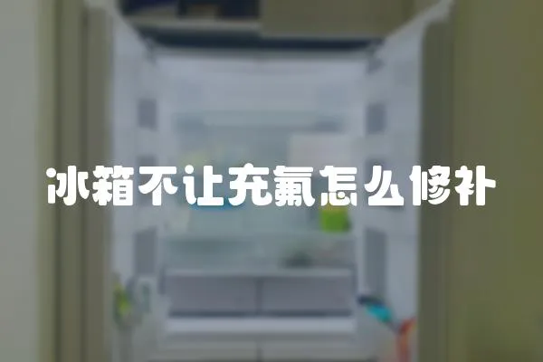 冰箱不讓充氟怎么修補(bǔ)