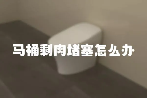 馬桶剩肉堵塞怎么辦
