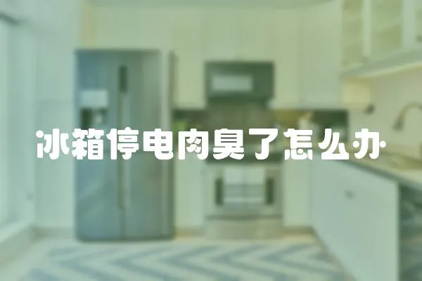 冰箱停電肉臭了怎么辦