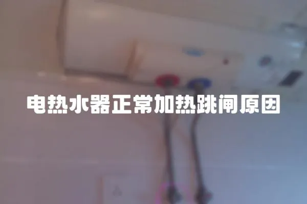 電熱水器正常加熱跳閘原因