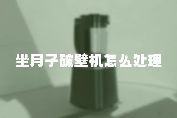 坐月子破壁機怎么處理