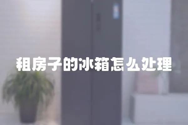 租房子的冰箱怎么處理