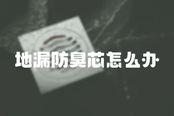 地漏防臭芯怎么辦