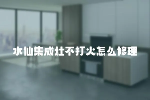 水仙集成灶不打火怎么修理