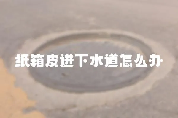 紙箱皮進(jìn)下水道怎么辦