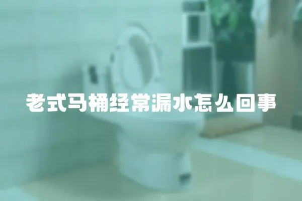 老式馬桶經常漏水怎么回事