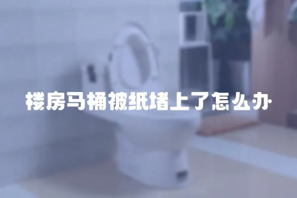 樓房馬桶被紙堵上了怎么辦