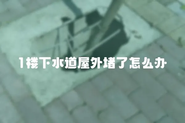1樓下水道屋外堵了怎么辦
