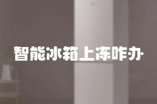 智能冰箱上凍咋辦
