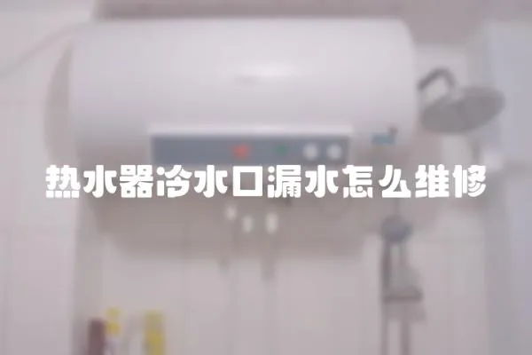 熱水器冷水口漏水怎么維修