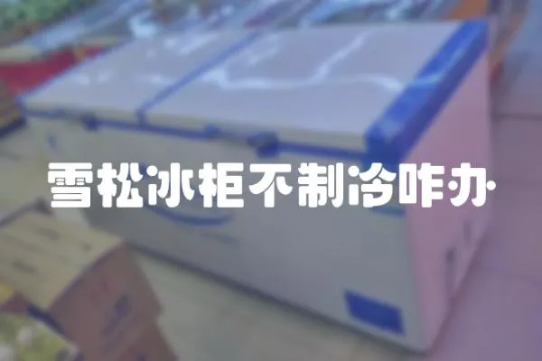 雪松冰柜不制冷咋辦