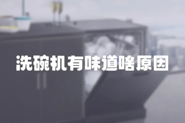 洗碗機有味道啥原因