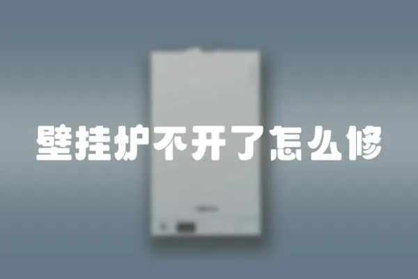 壁掛爐不開了怎么修