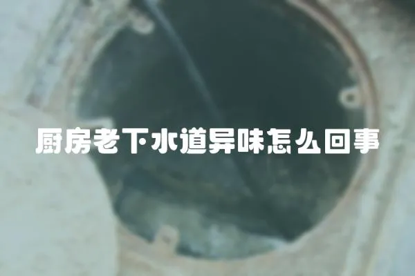 廚房老下水道異味怎么回事