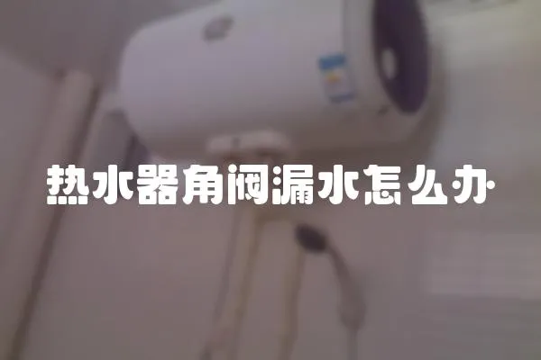 熱水器角閥漏水怎么辦