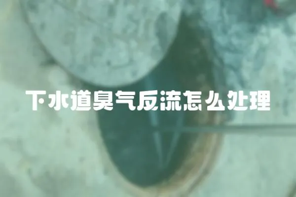 下水道臭氣反流怎么處理