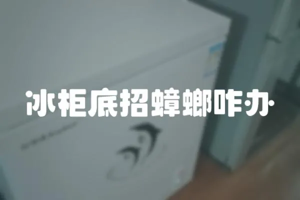 冰柜底招蟑螂咋辦