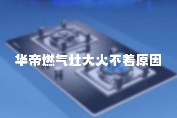 華帝燃?xì)庠畲蠡鸩恢? loading=