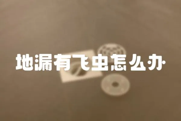 地漏有飛蟲(chóng)怎么辦
