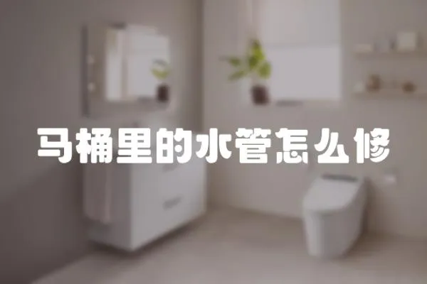 馬桶里的水管怎么修