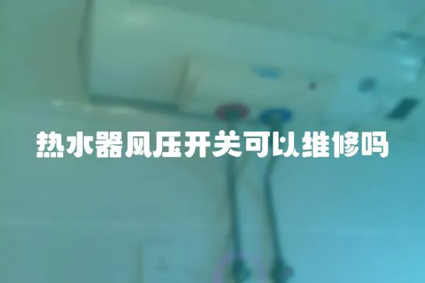 熱水器風壓開關可以維修嗎